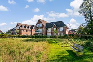 Meadow- click for photo gallery